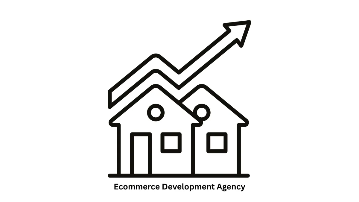 Premier Ecommerce Development Agency