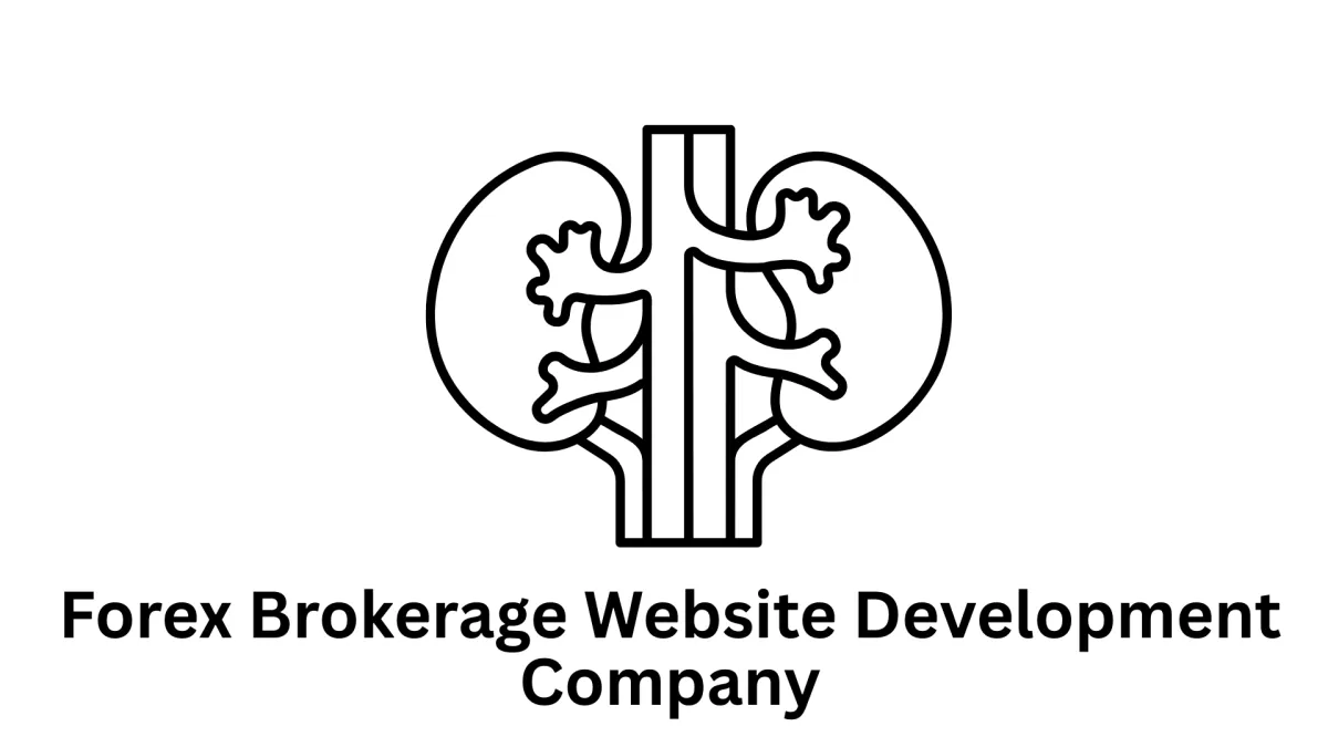 Premier Forex Brokerage Website Development Company | Associative