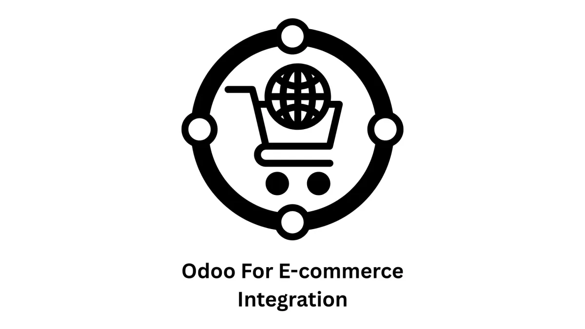 Professional Odoo for E-commerce Integration