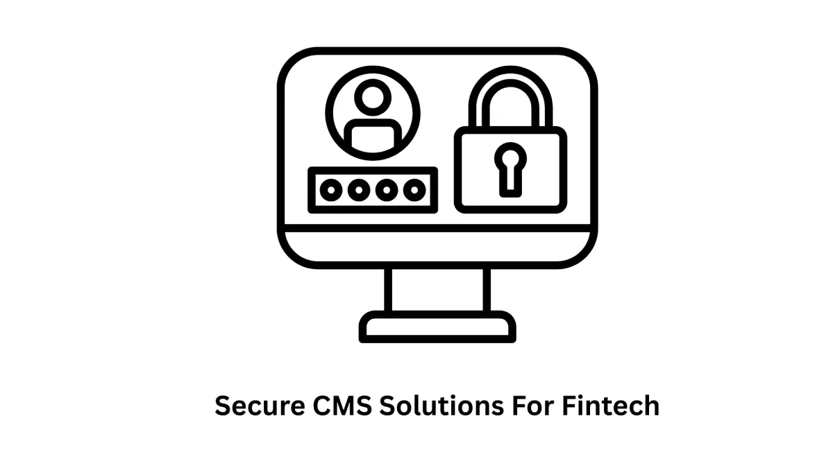 secure cms solutions for fintech