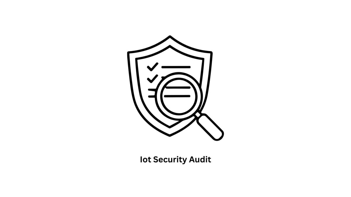 Professional IoT Security Audit Services