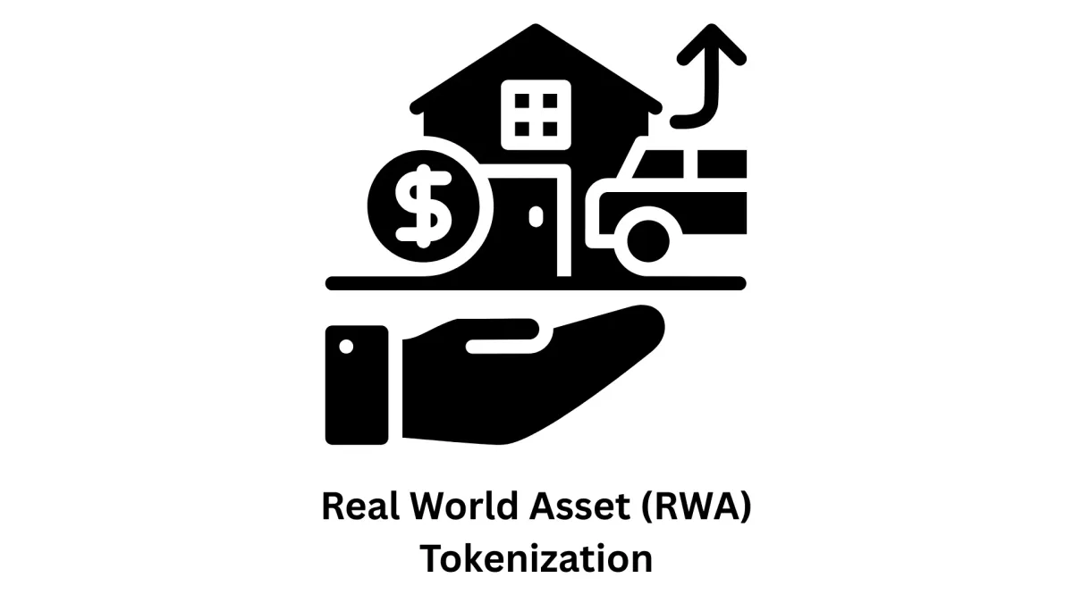 Real World Asset (RWA) Tokenization & Custom IT Solutions