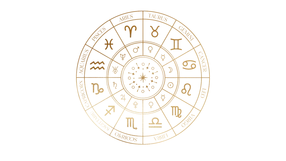 Professional Vedic Astrology Software Development Services