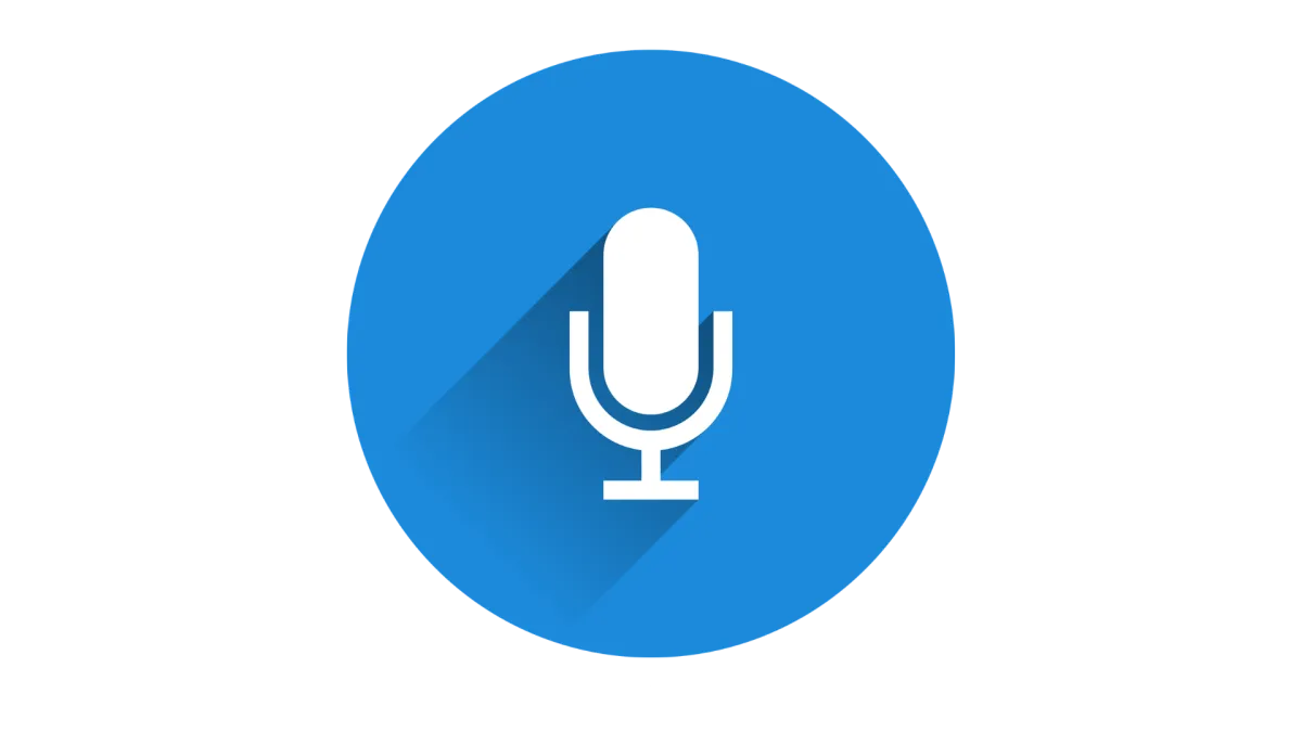 Voice Search Optimization for Ecommerce