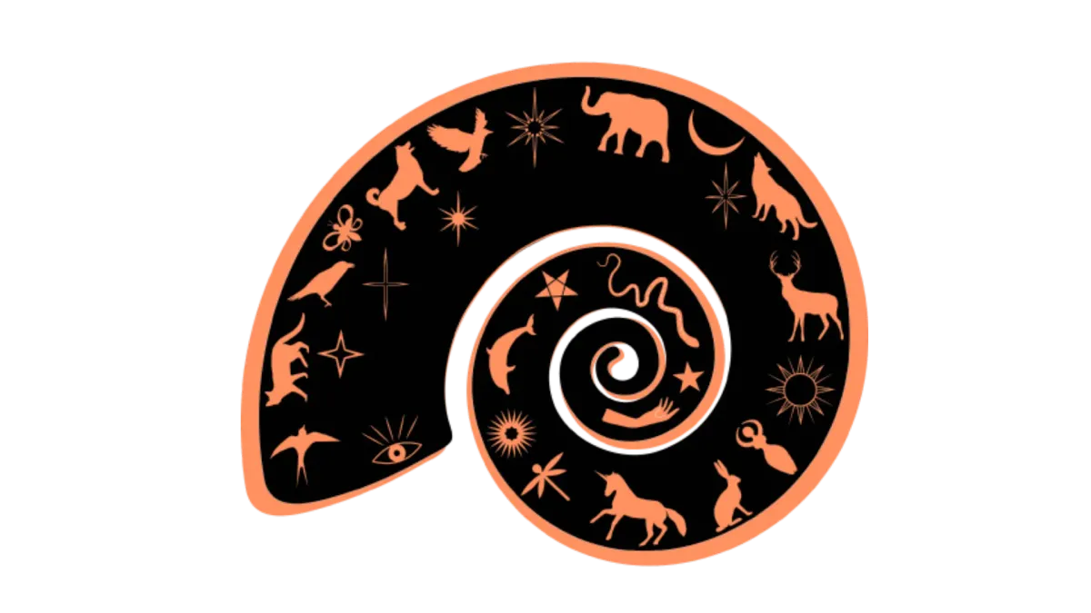 Expert Astrology Website Development Services | Associative Pune