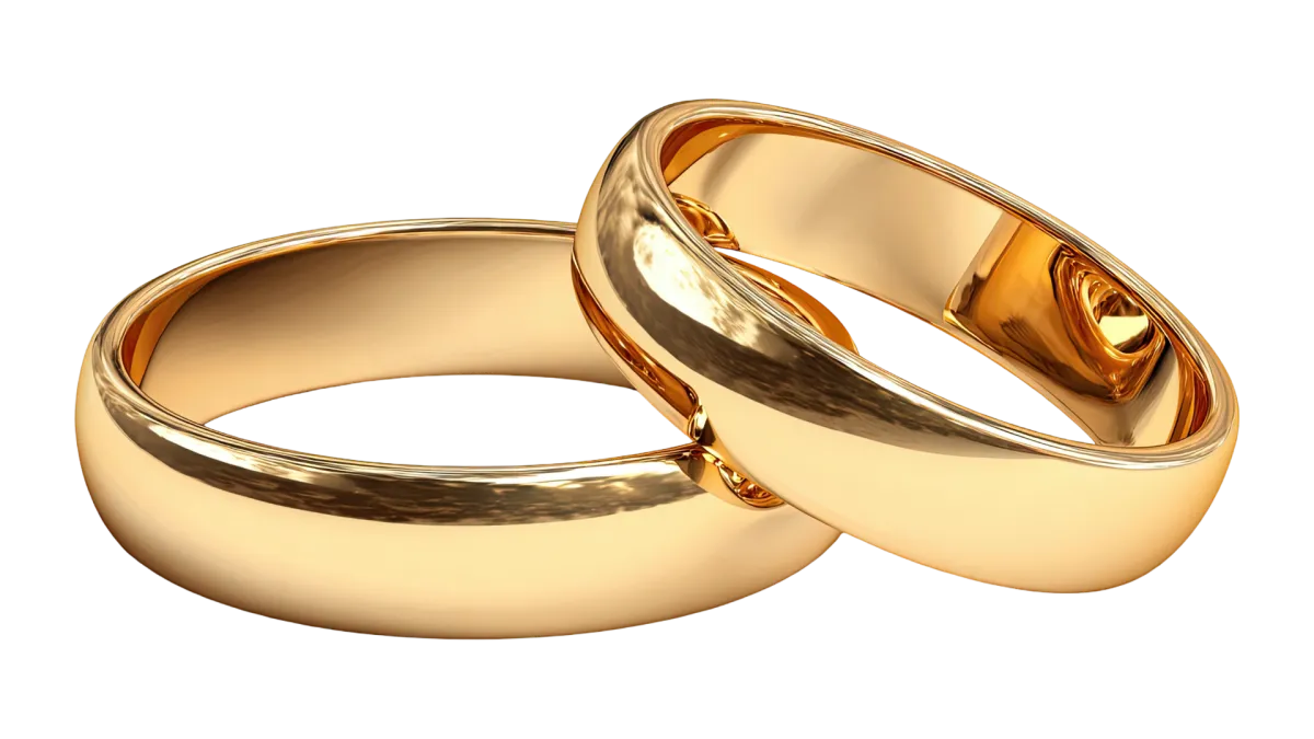 MILANSETU: Ready-to-Deploy Matrimony, Dating & Room Sharing Platform