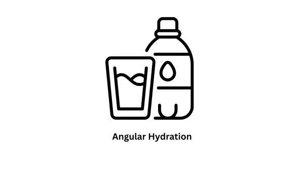 Angular Hydration: Enhancing Performance with Associative