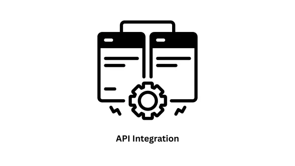 Expert API Integration & Software Development