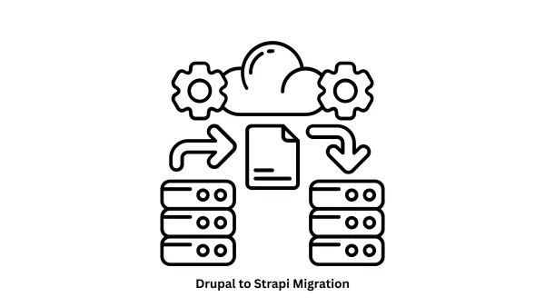 Expert Drupal to Strapi Migration Services