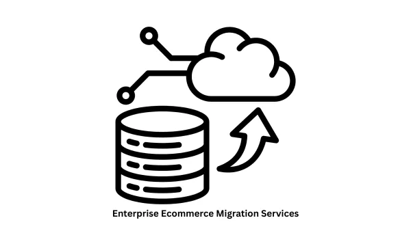 Enterprise Ecommerce Migration Services