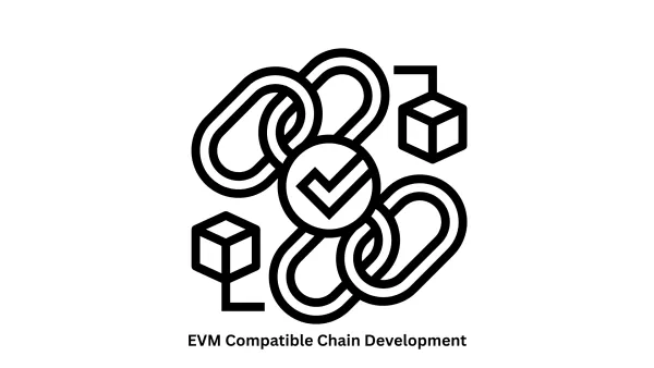 Expert EVM Compatible Chain Development
