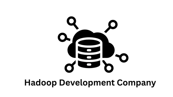 Top Hadoop Development Company in Pune, India | Associative