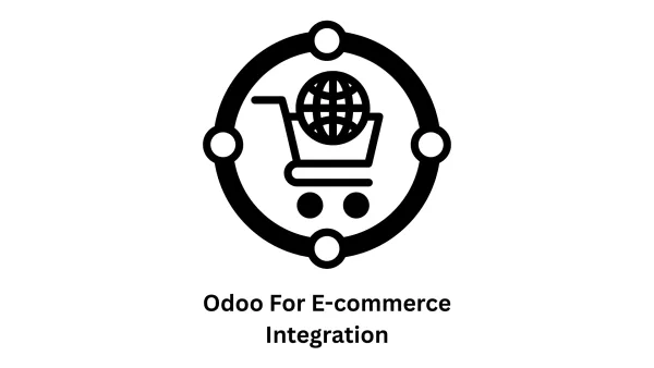 Professional Odoo for E-commerce Integration
