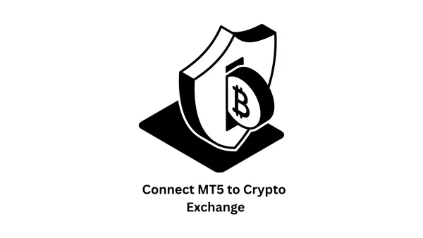 Connect MT5 to Crypto Exchange: Advanced Custom Trading Solutions