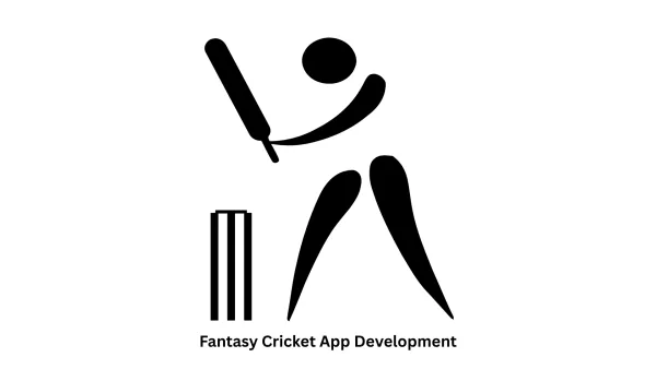 Custom Software & Fantasy Cricket App Development