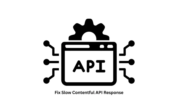 Optimize Performance: How to Fix Slow Contentful API Response