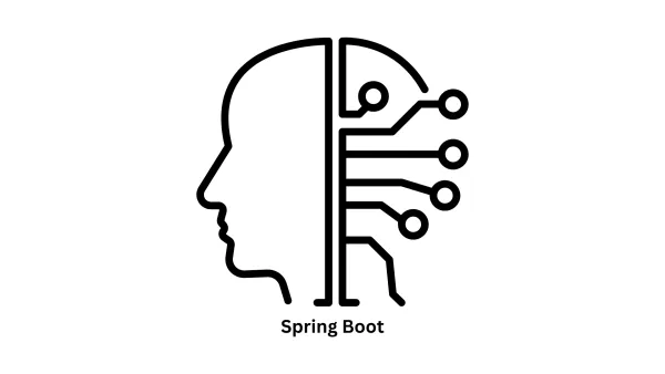 Custom Spring Boot Development Services in Pune