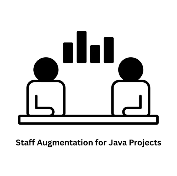Expert Staff Augmentation for Java Projects