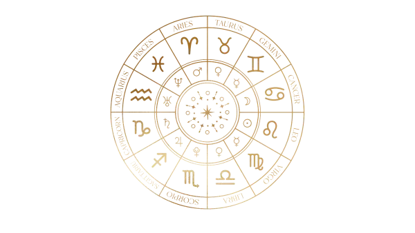 Professional Vedic Astrology Software Development Services