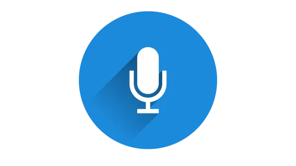 Voice Search Optimization for Ecommerce