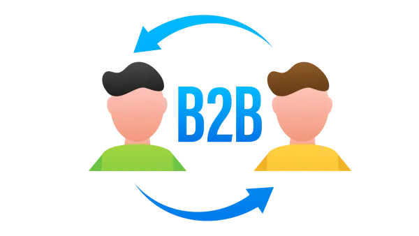 Expert B2B Dealer Portal Development & Enterprise IT Solutions | Associative