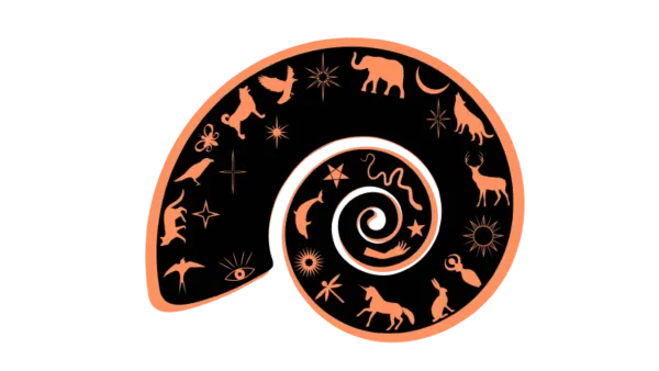 Expert Astrology Website Development Services | Associative Pune