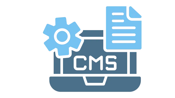 Top CMS Development Company in Pune | Associative