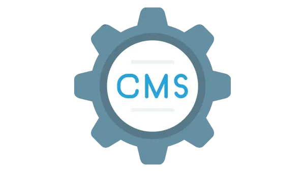 Expert Custom WordPress Development Services | Associative Pune