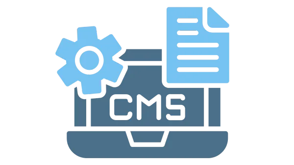 Custom Sanity CMS Development Services in Pune | Associative